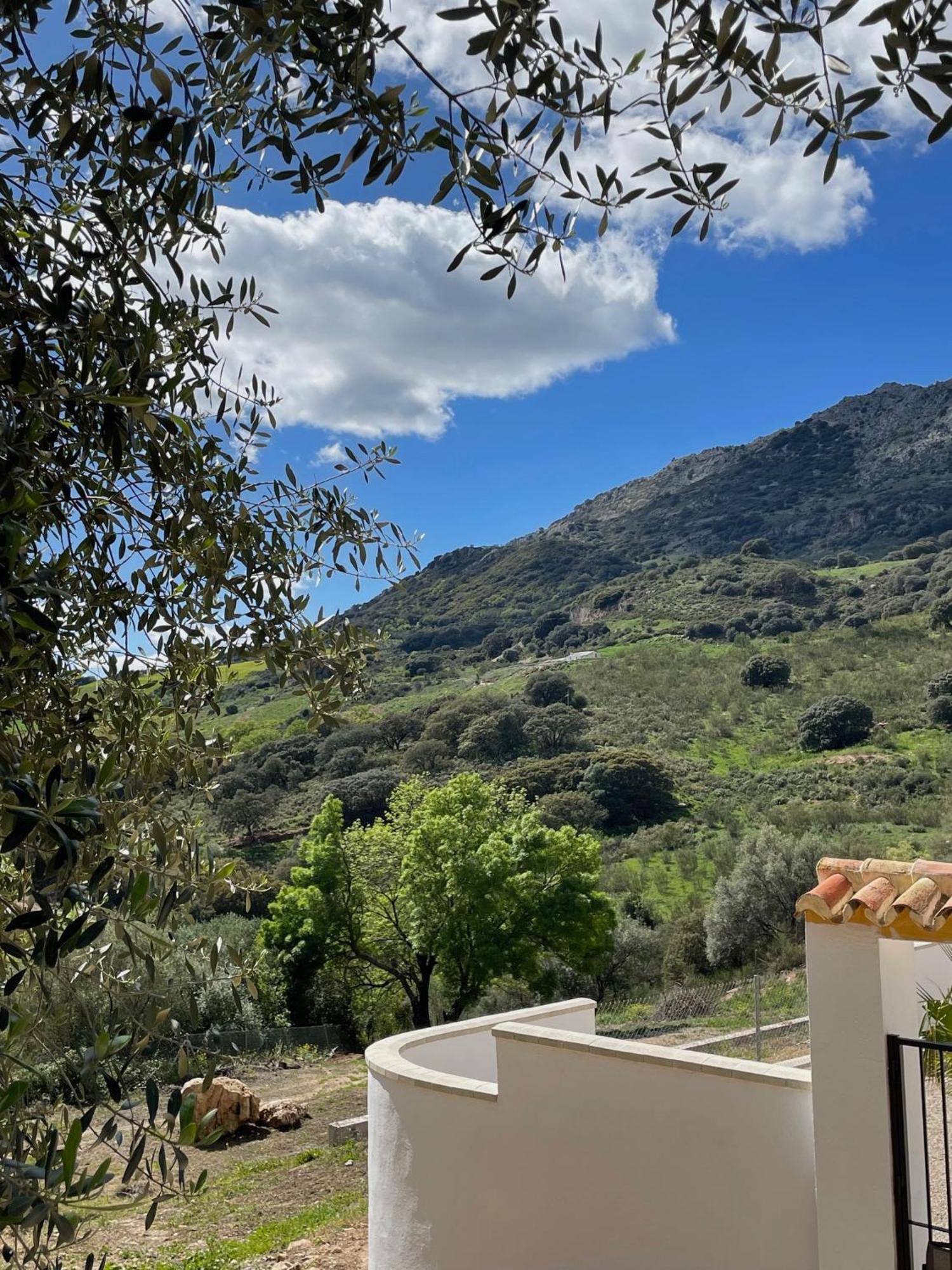 Cortijo Rancho Verde Colmenar Zewnętrze zdjęcie