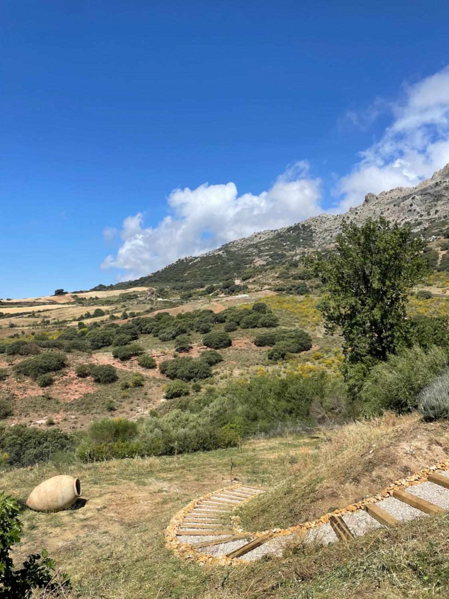 Cortijo Rancho Verde Colmenar Zewnętrze zdjęcie
