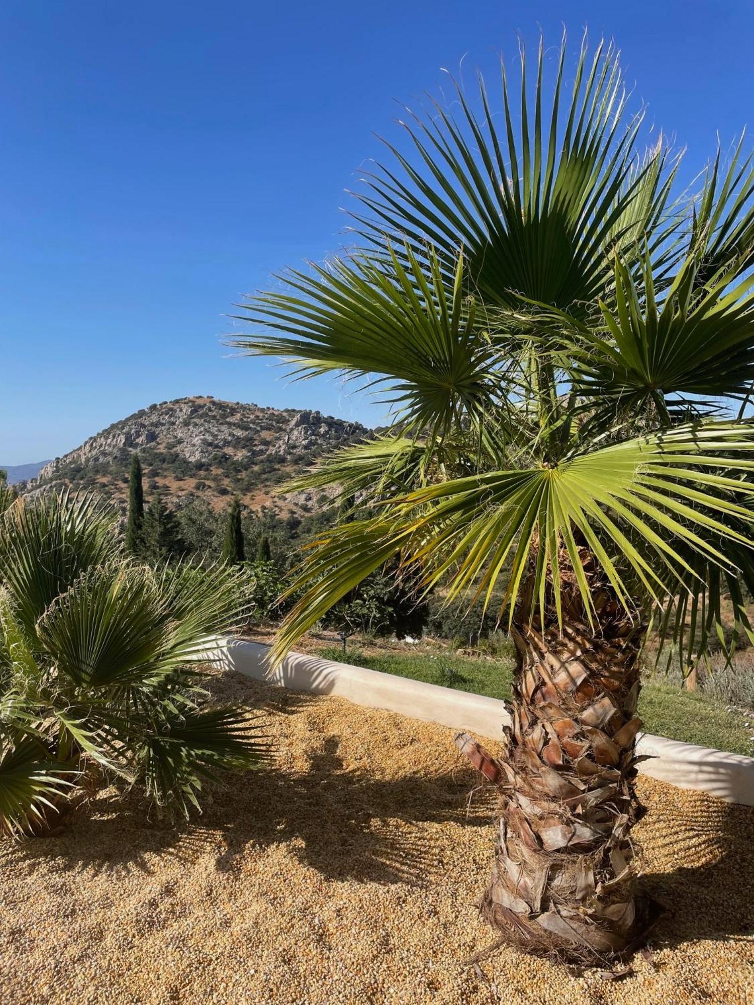 Cortijo Rancho Verde Colmenar Zewnętrze zdjęcie